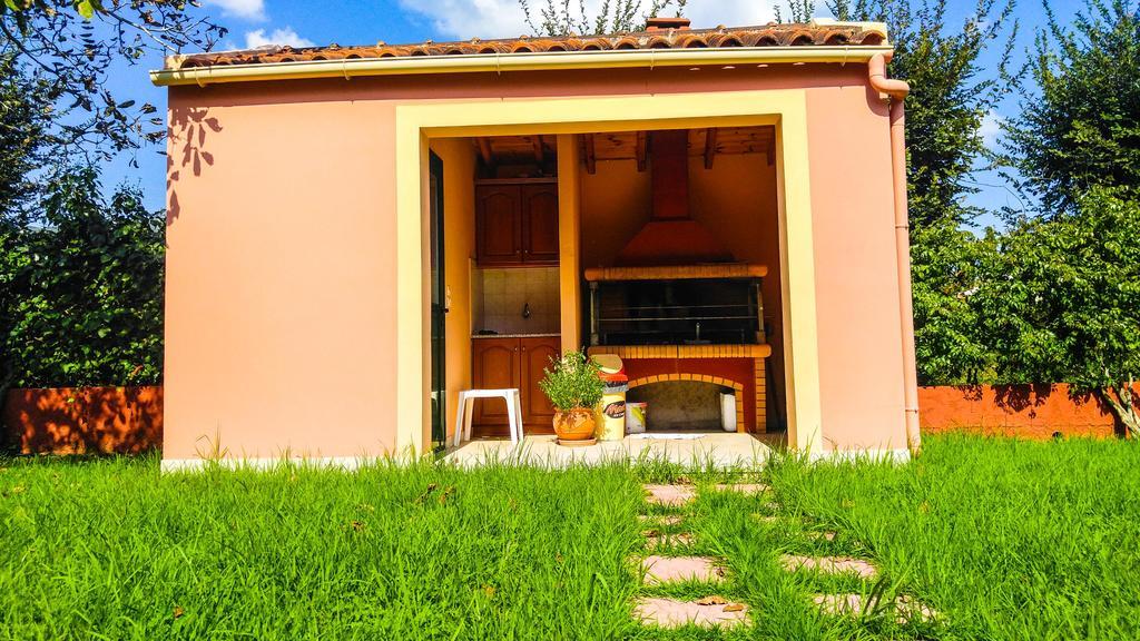 Gregory-vassilis * Dassia (Corfu)