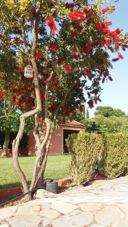 Gregory-vassilis Apartment Dassia (Corfu)